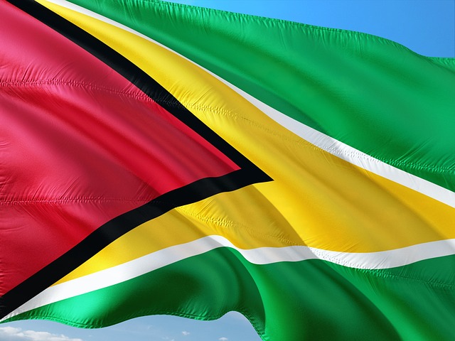 International Flag South America Guyana