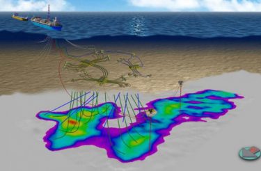 premier-sea-lion-375x246